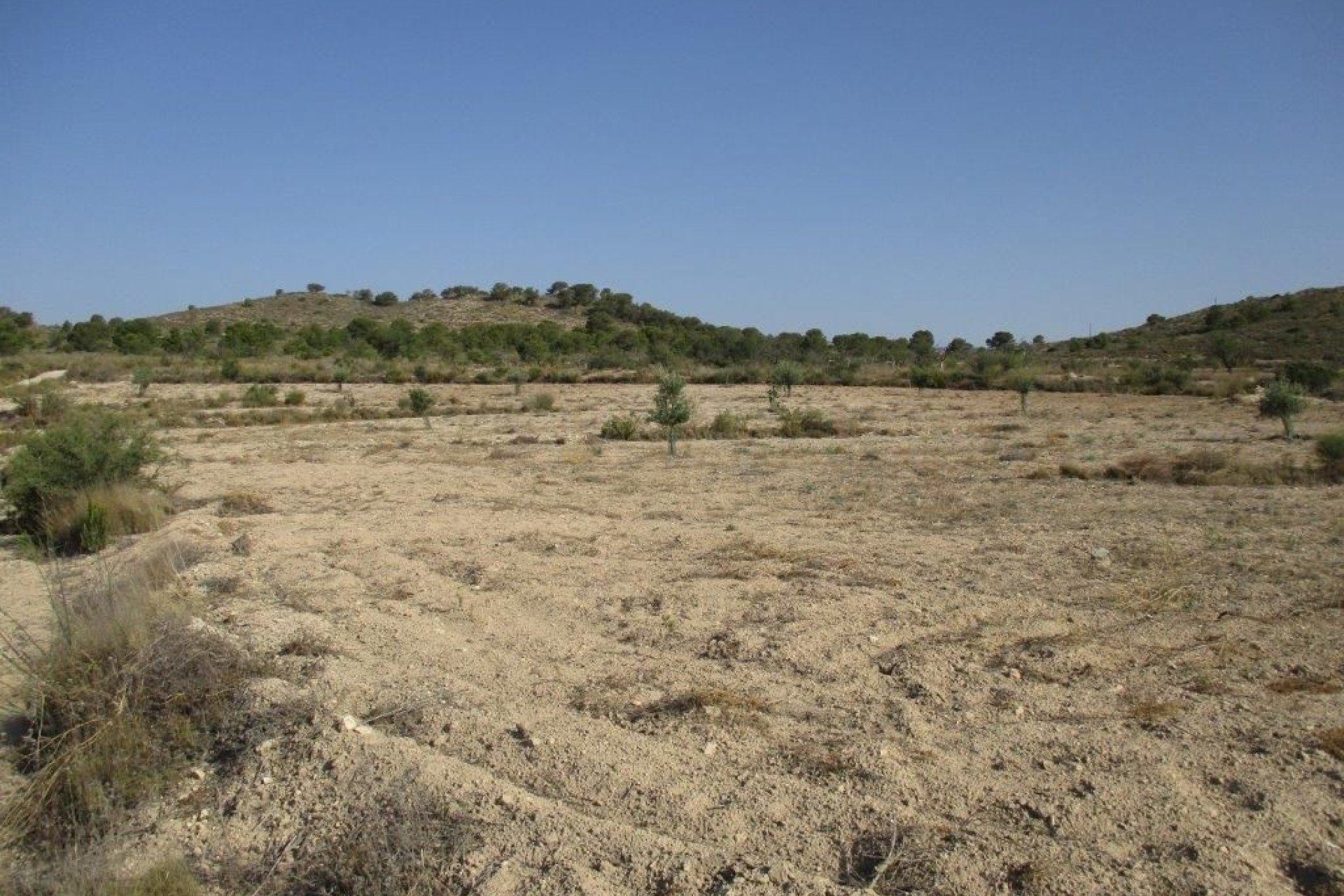 Reventa - land -
Relleu - Relleu Centro