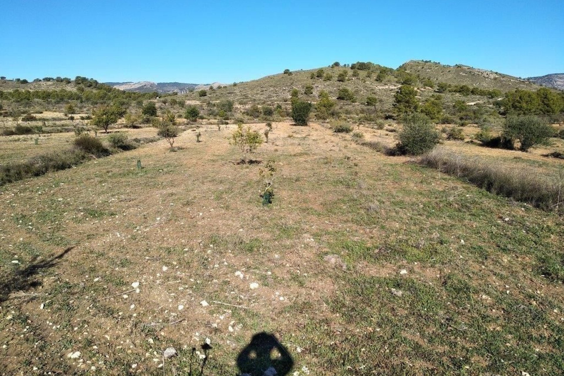Reventa - land -
Relleu - Relleu Centro