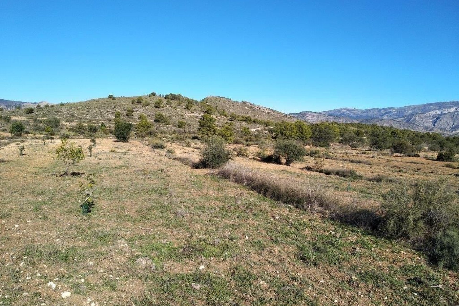 Reventa - land -
Relleu - Relleu Centro