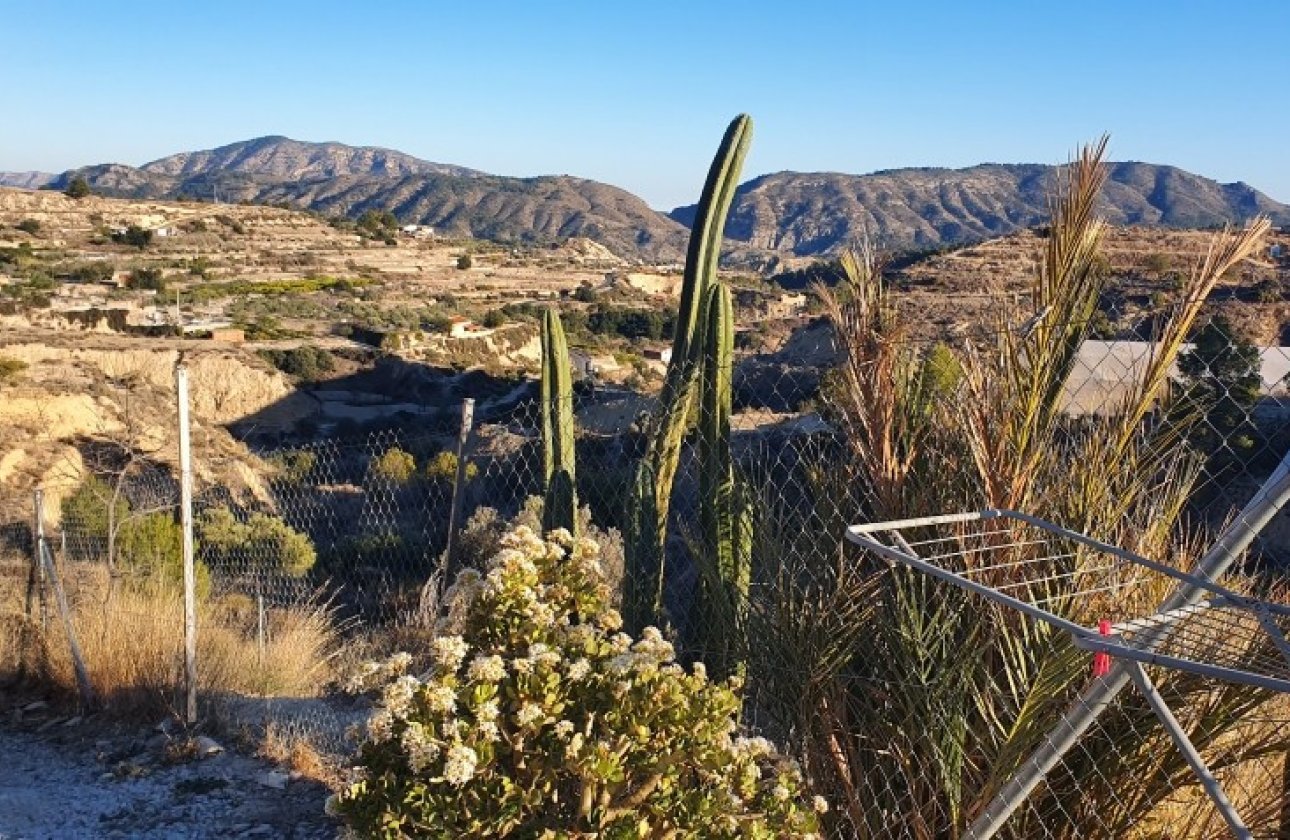 Reventa - land -
Relleu - Relleu Centro