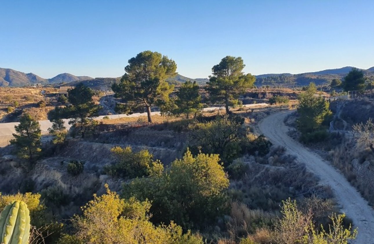 Reventa - land -
Relleu - Relleu Centro