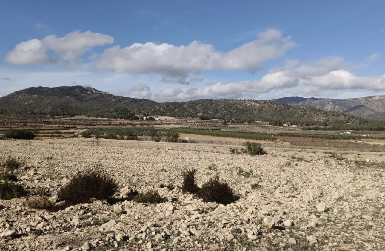 Reventa - land -
Salinas - Salinas Centro