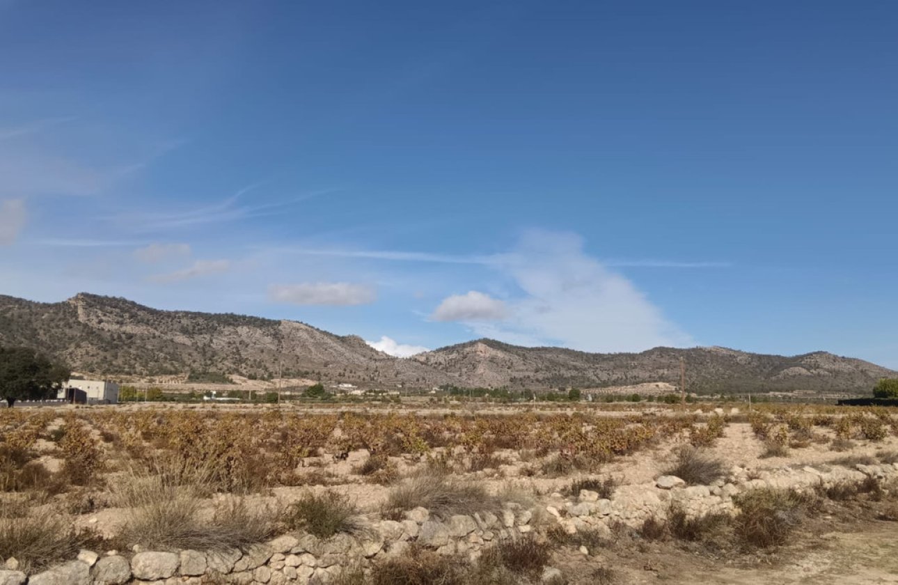 Reventa - land -
Salinas - Salinas Centro