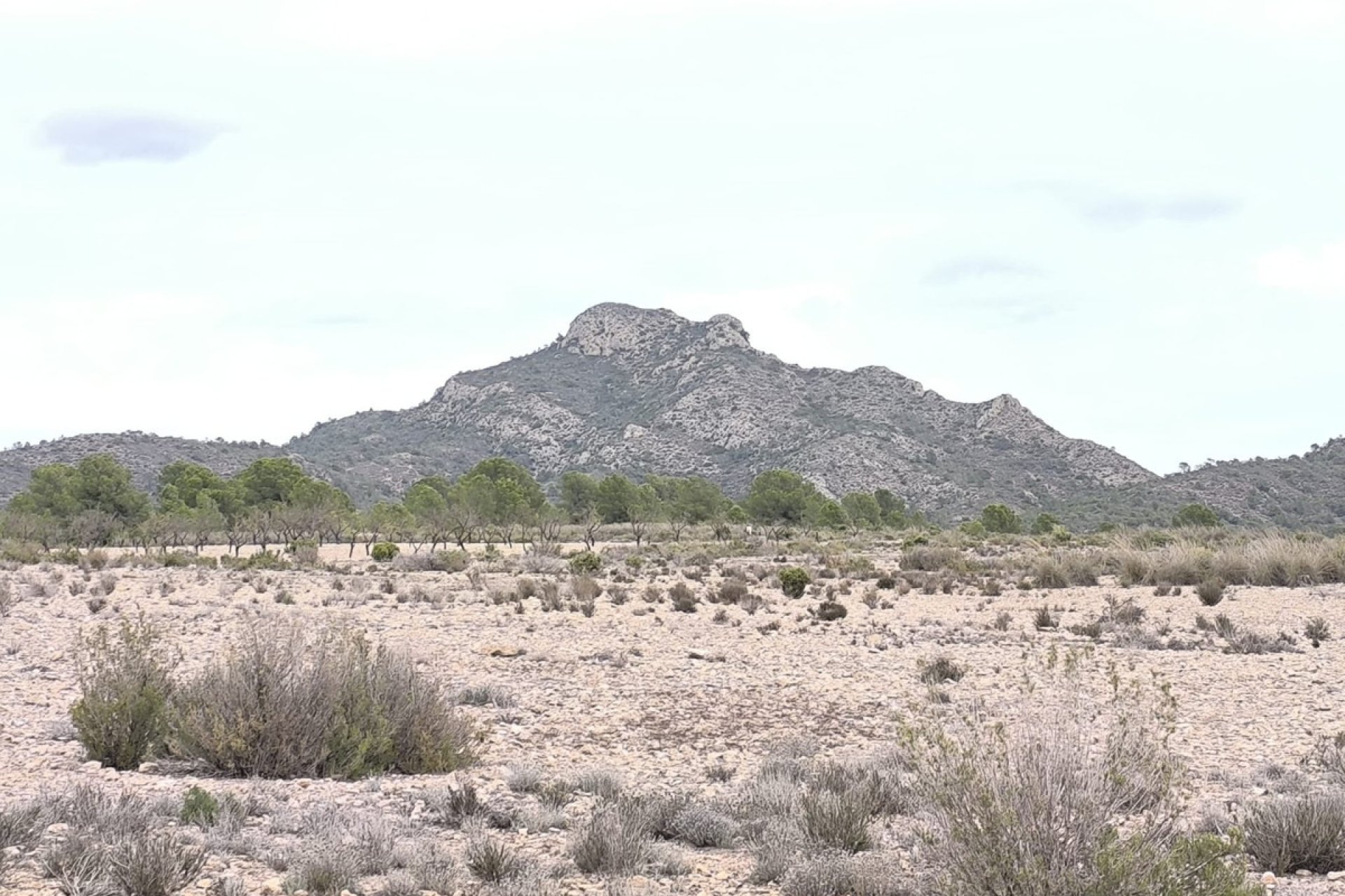 Reventa - land -
Salinas - Salinas Centro