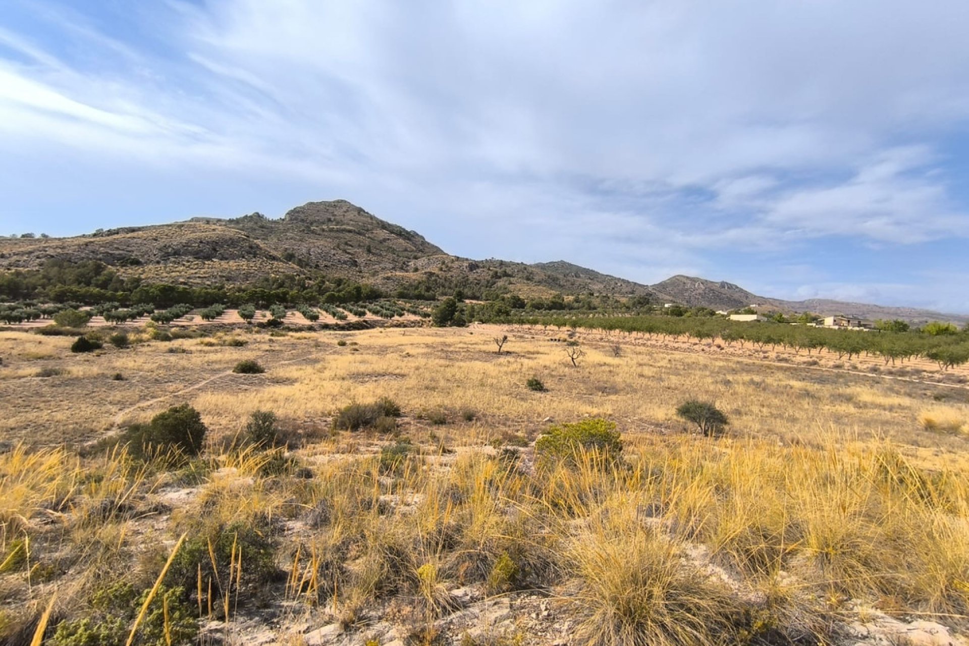 Reventa - land -
Sax - Sax Centro