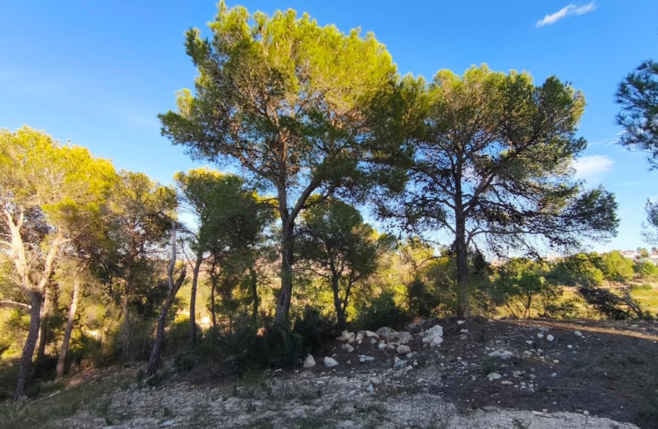 Reventa - land -
Teulada - Teulada Centro