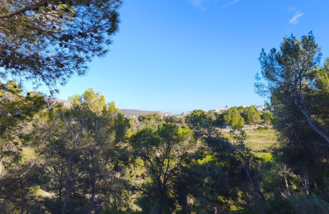 Reventa - land -
Teulada - Teulada Centro