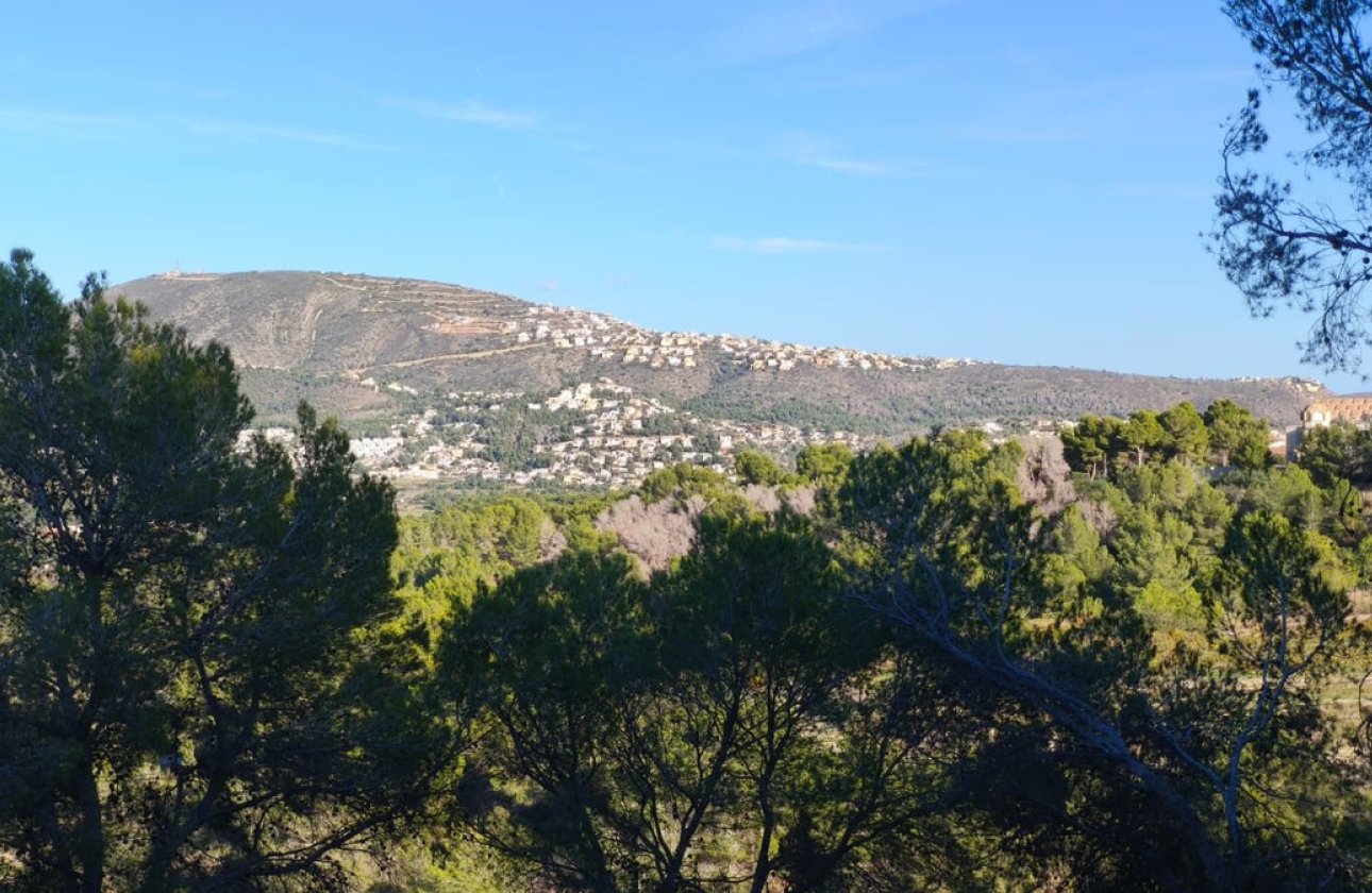 Reventa - land -
Teulada - Teulada Centro