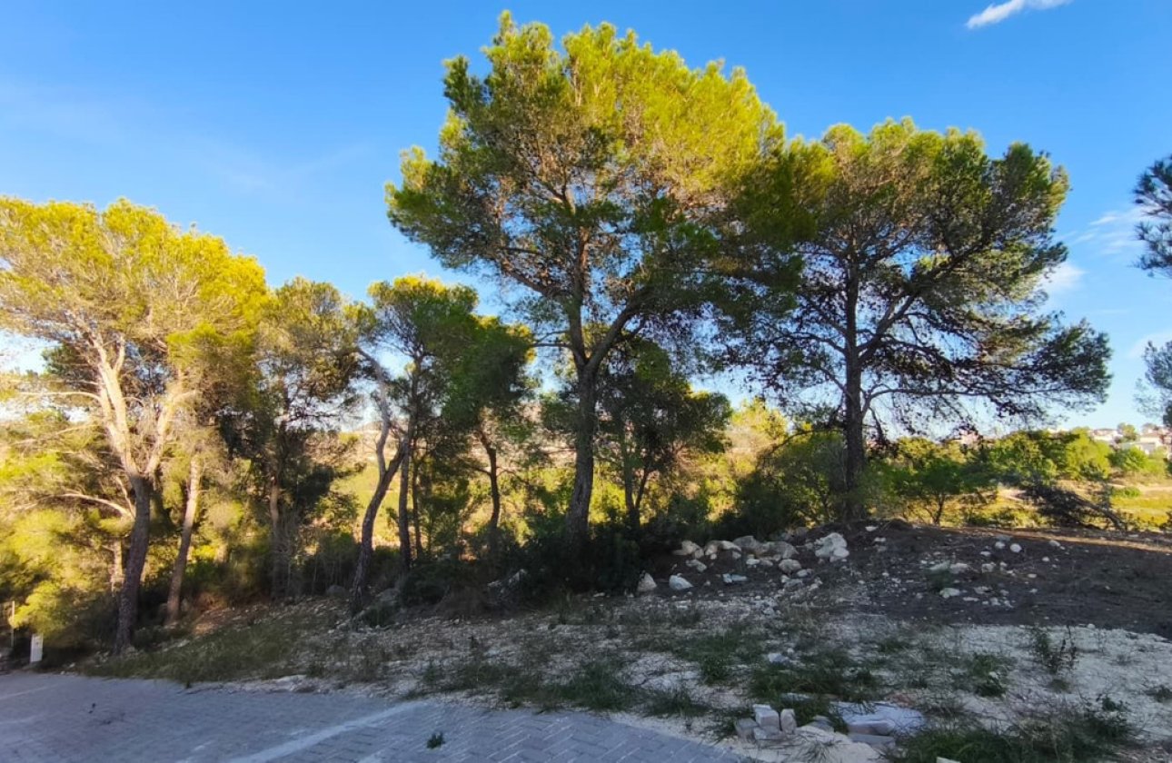 Reventa - land -
Teulada - Teulada Centro