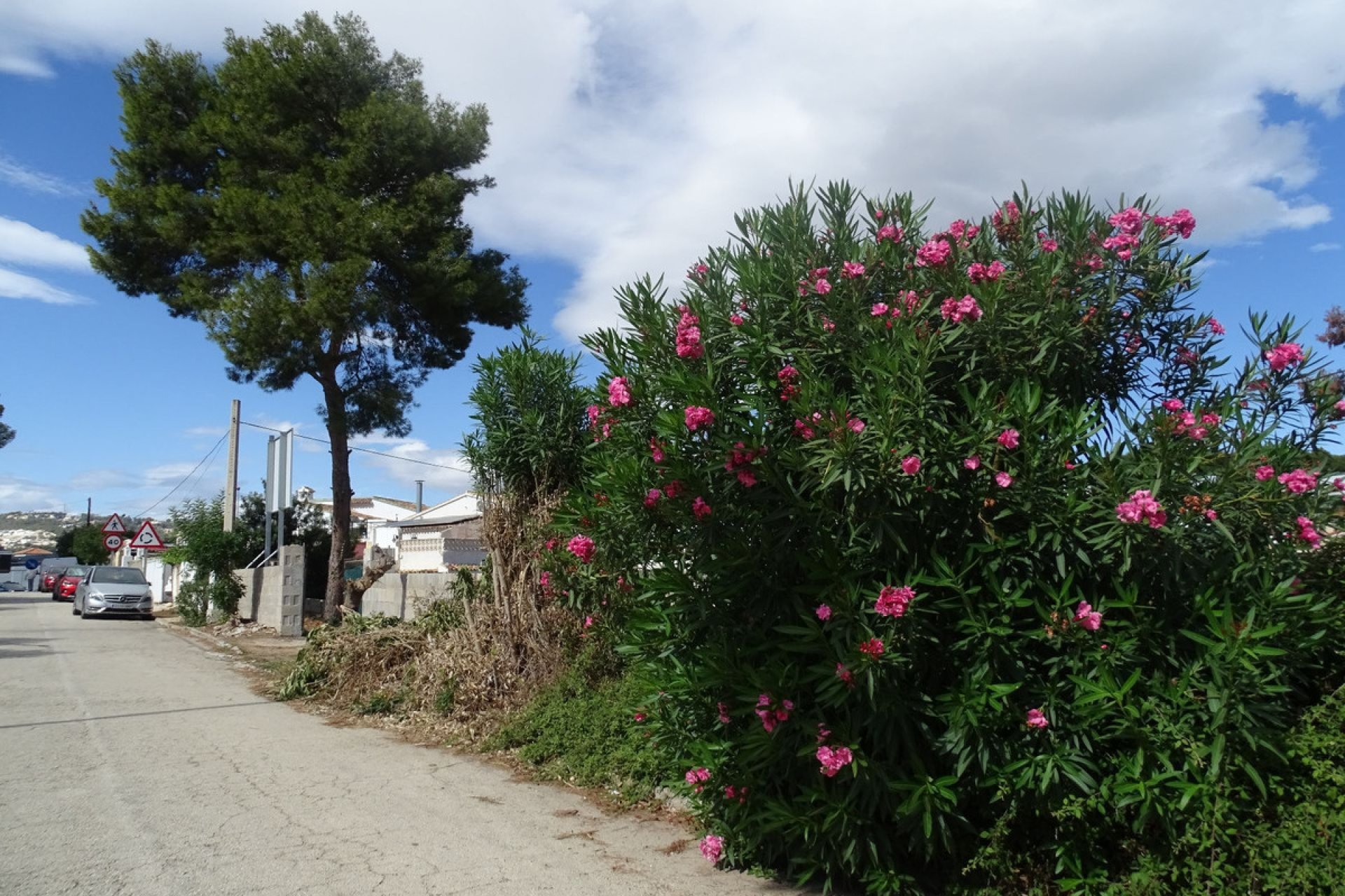 Reventa - land -
Teulada - Teulada Centro