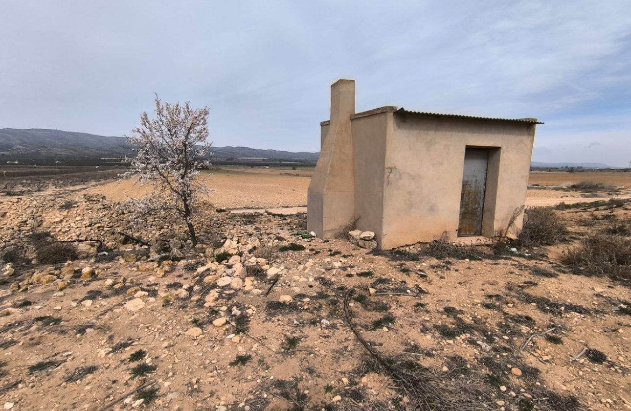 Reventa - land -
Villena - Villena Centro