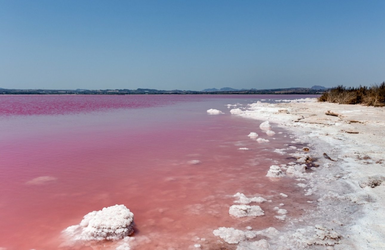 Reventa - Town House -
Torrevieja - Torrevieja Centro