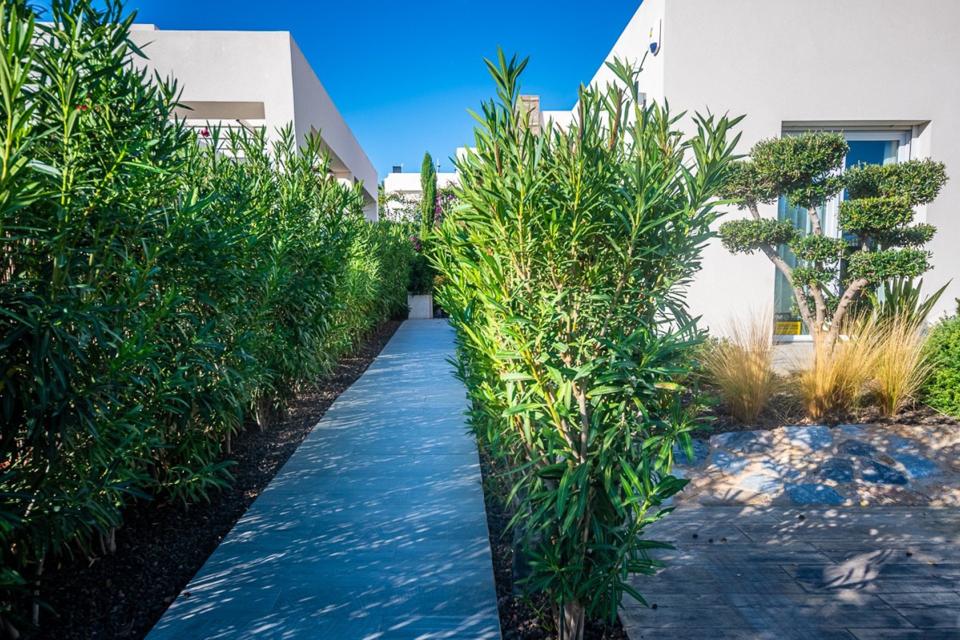 Reventa - Villa -
Algorfa - Algorfa Centro