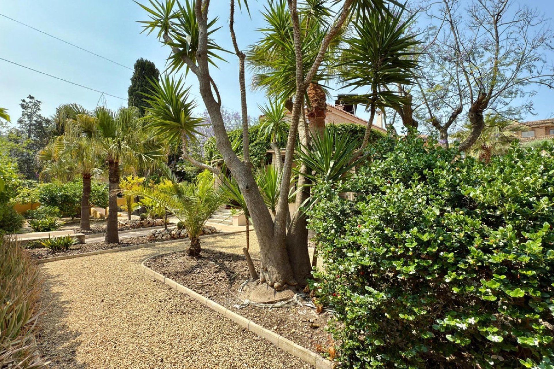 Reventa - Villa -
Alicante - Alicante Centro