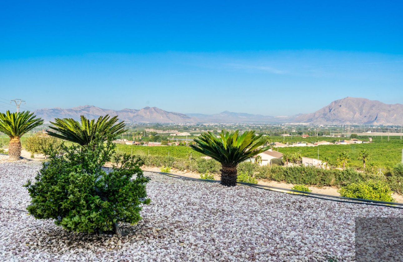 Reventa - Villa -
Benejúzar - Benejuzar Centro