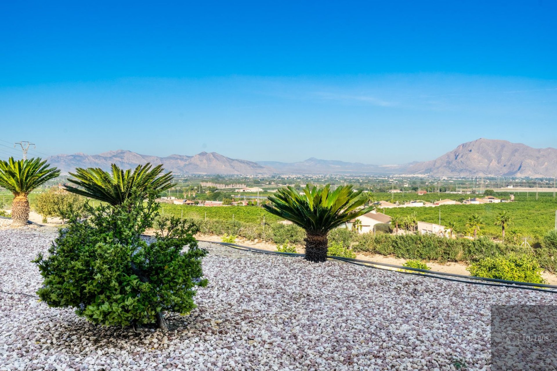 Reventa - Villa -
Benejúzar - Benejuzar Centro