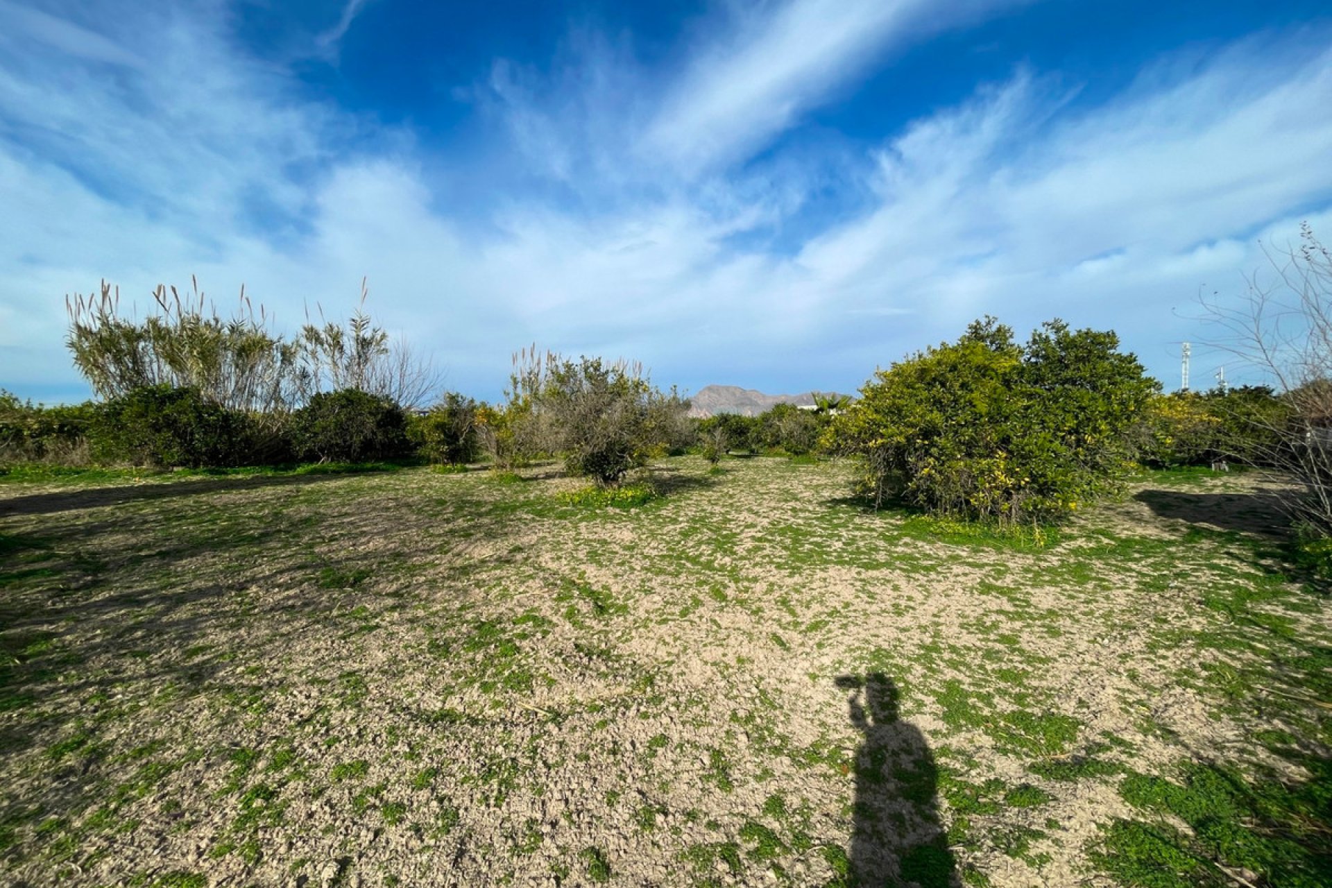 Reventa - Villa -
Benejúzar - Benejuzar Centro