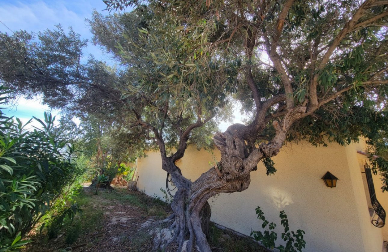 Reventa - Villa -
Calpe - Calpe Centro