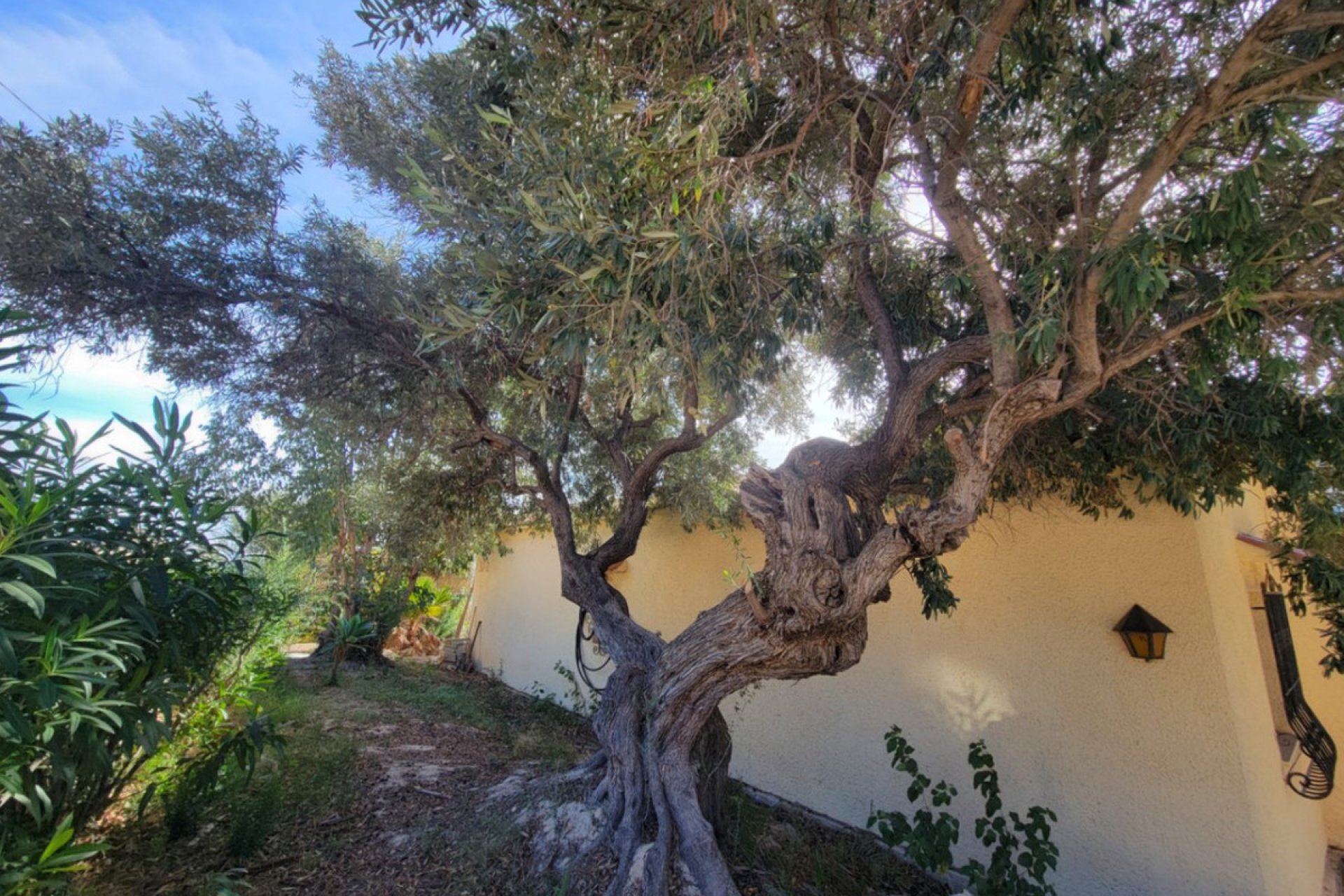 Reventa - Villa -
Calpe - Calpe Centro