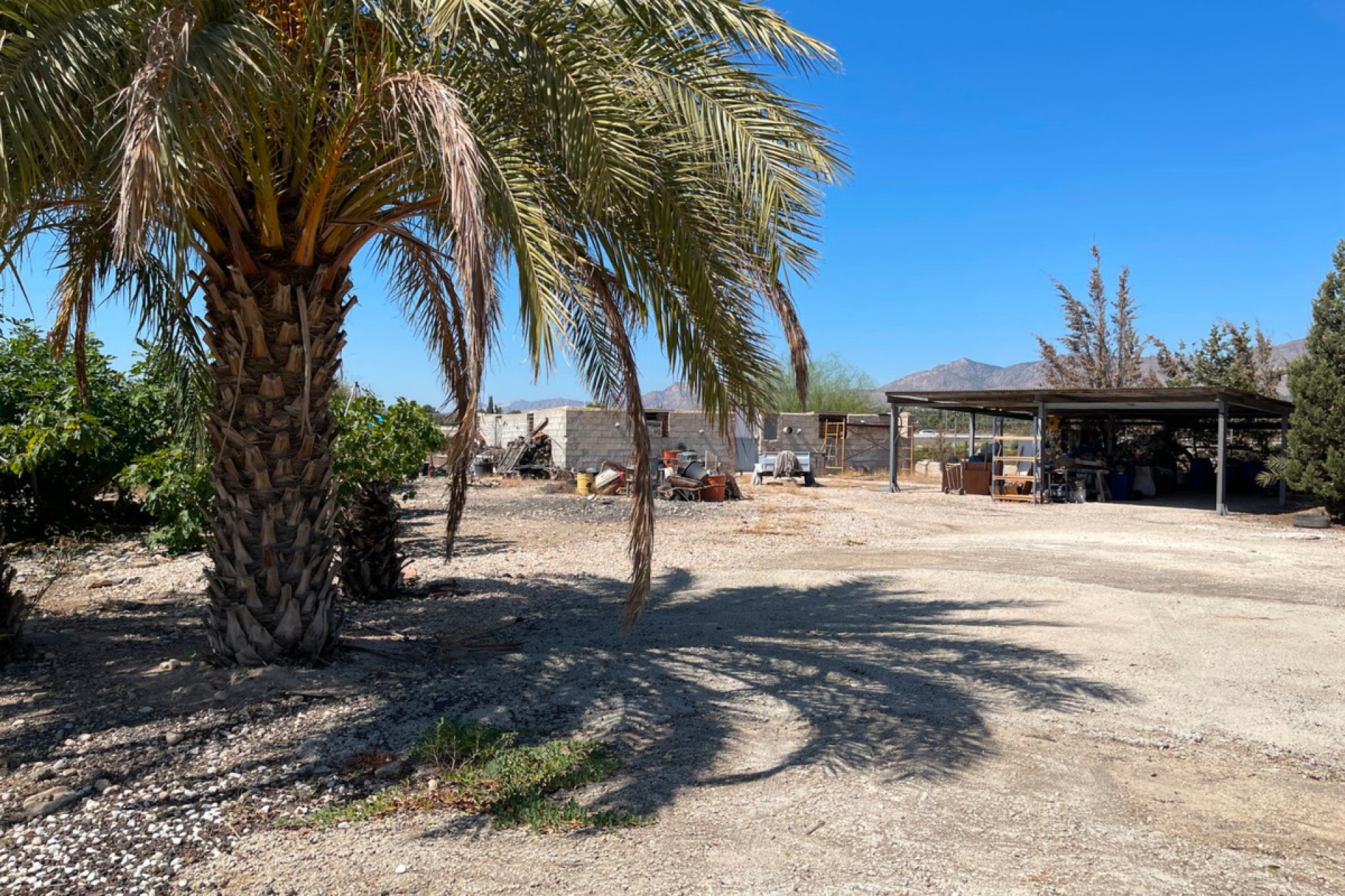 Reventa - Villa -
Crevillente - Crevillent - Crevillente - Crevillent Centro