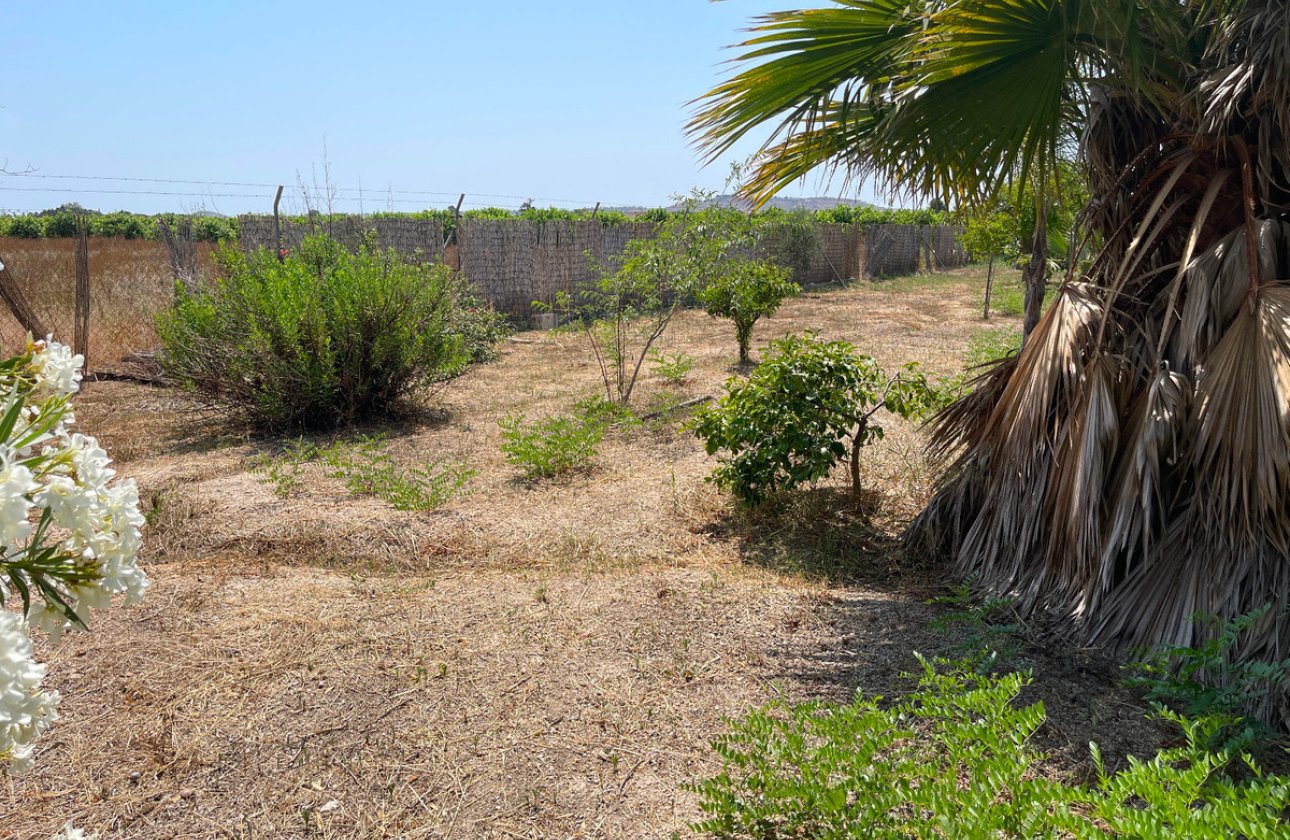 Reventa - Villa -
Daya Nueva - Daya Nueva Centro