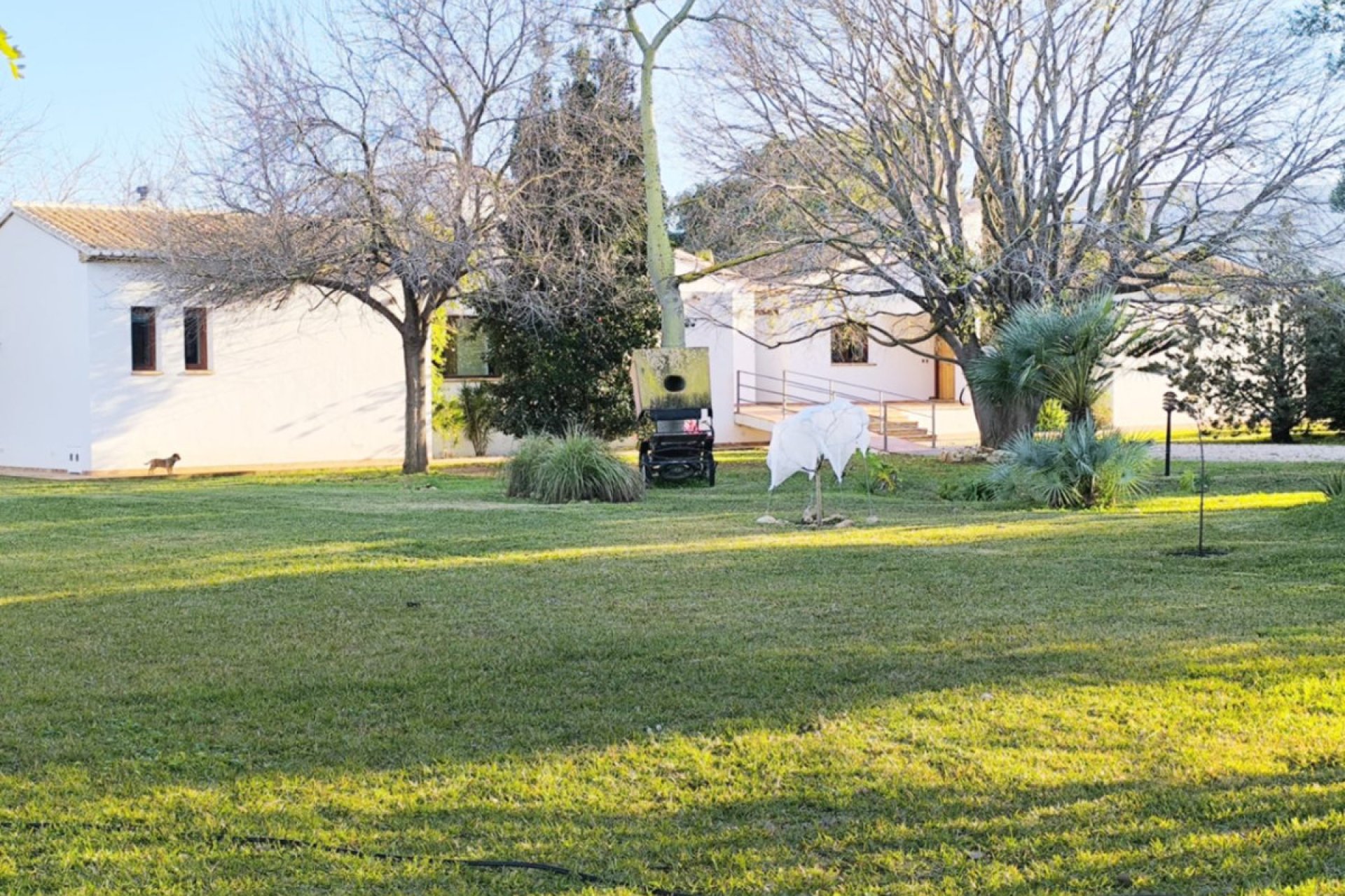 Reventa - Villa -
Ondara - Ondara Centro