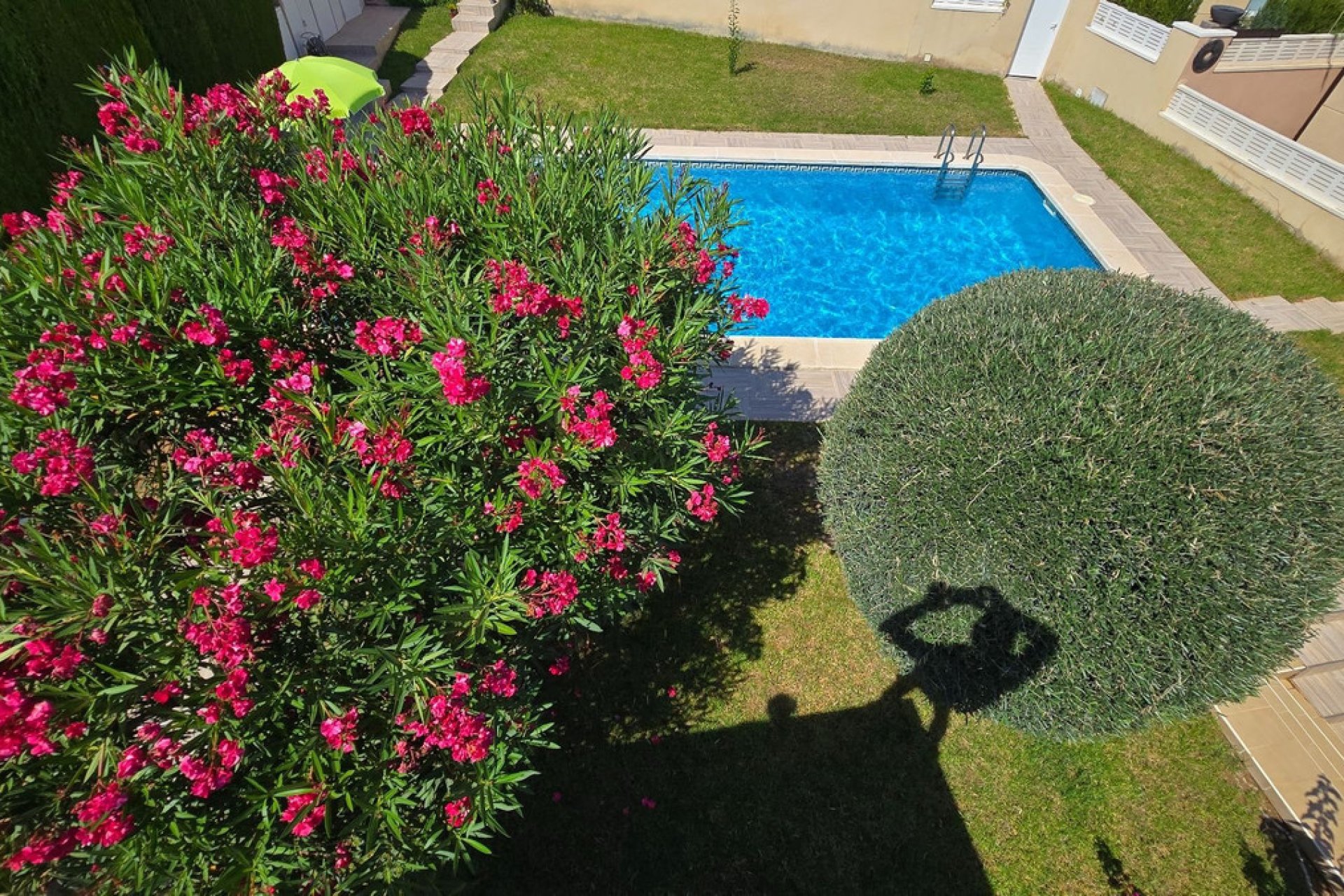 Reventa - Villa -
Orihuela - Orihuela Centro
