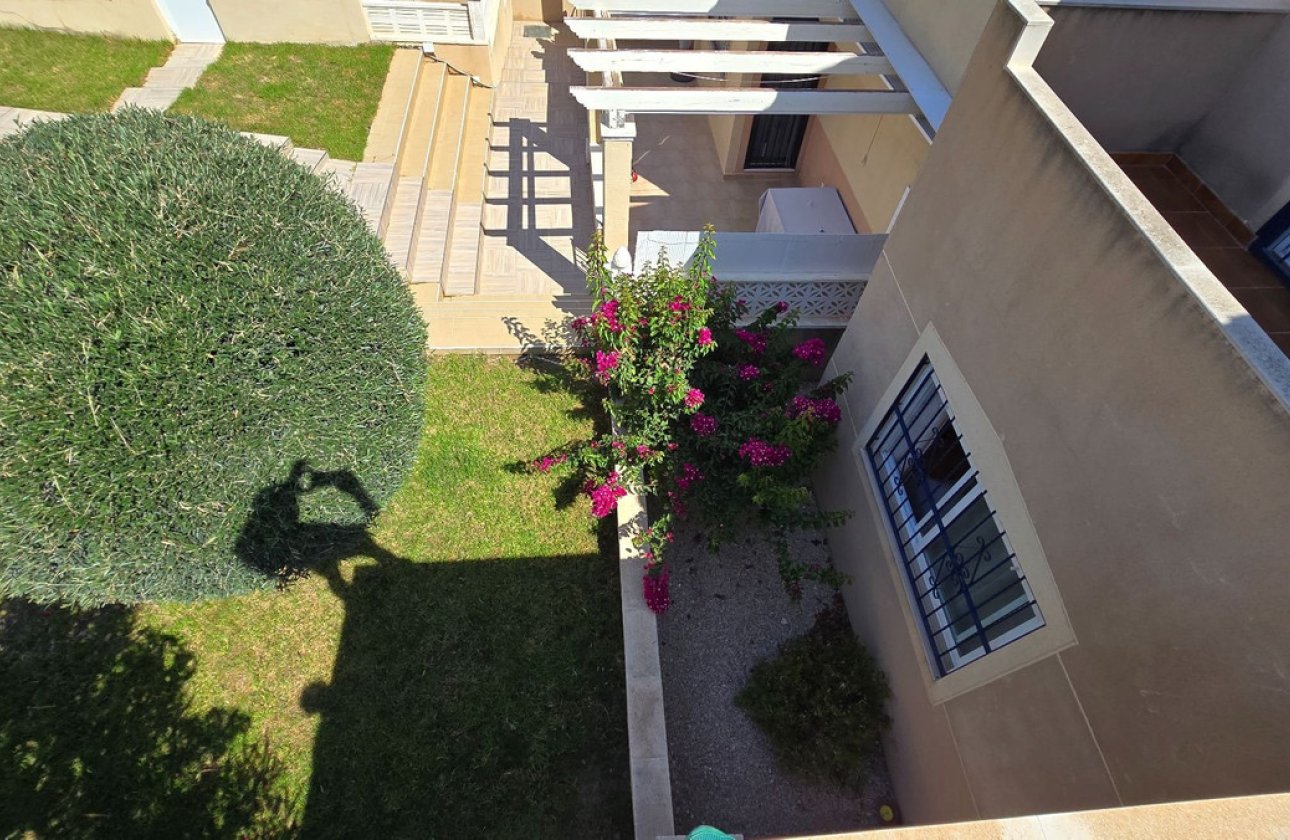 Reventa - Villa -
Orihuela - Orihuela Centro