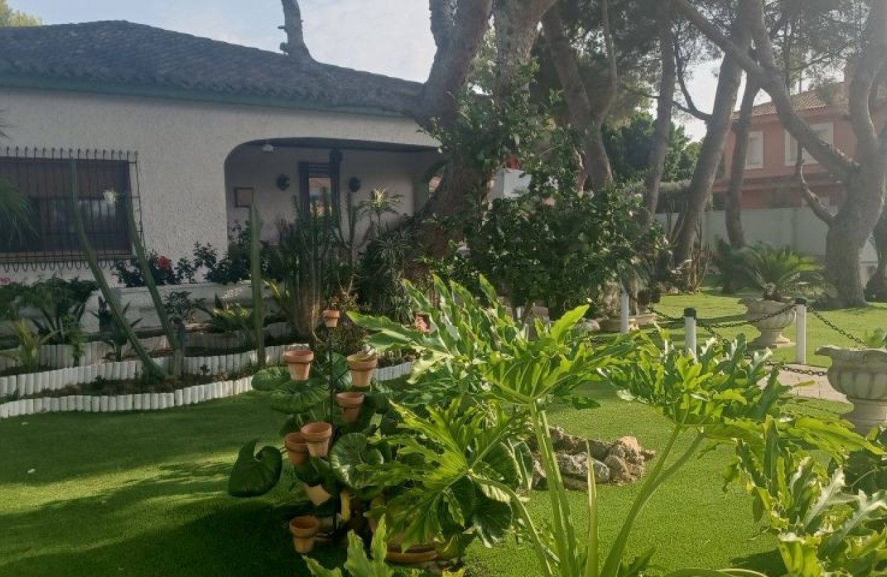 Reventa - Villa -
Orihuela - Orihuela Costa