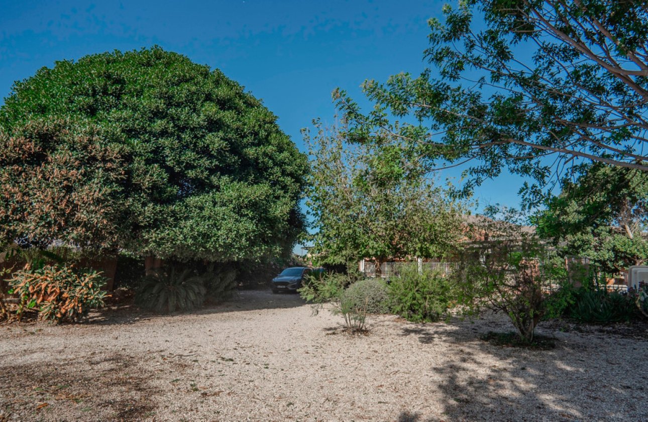 Reventa - Villa -
Orihuela - San Bartolomé