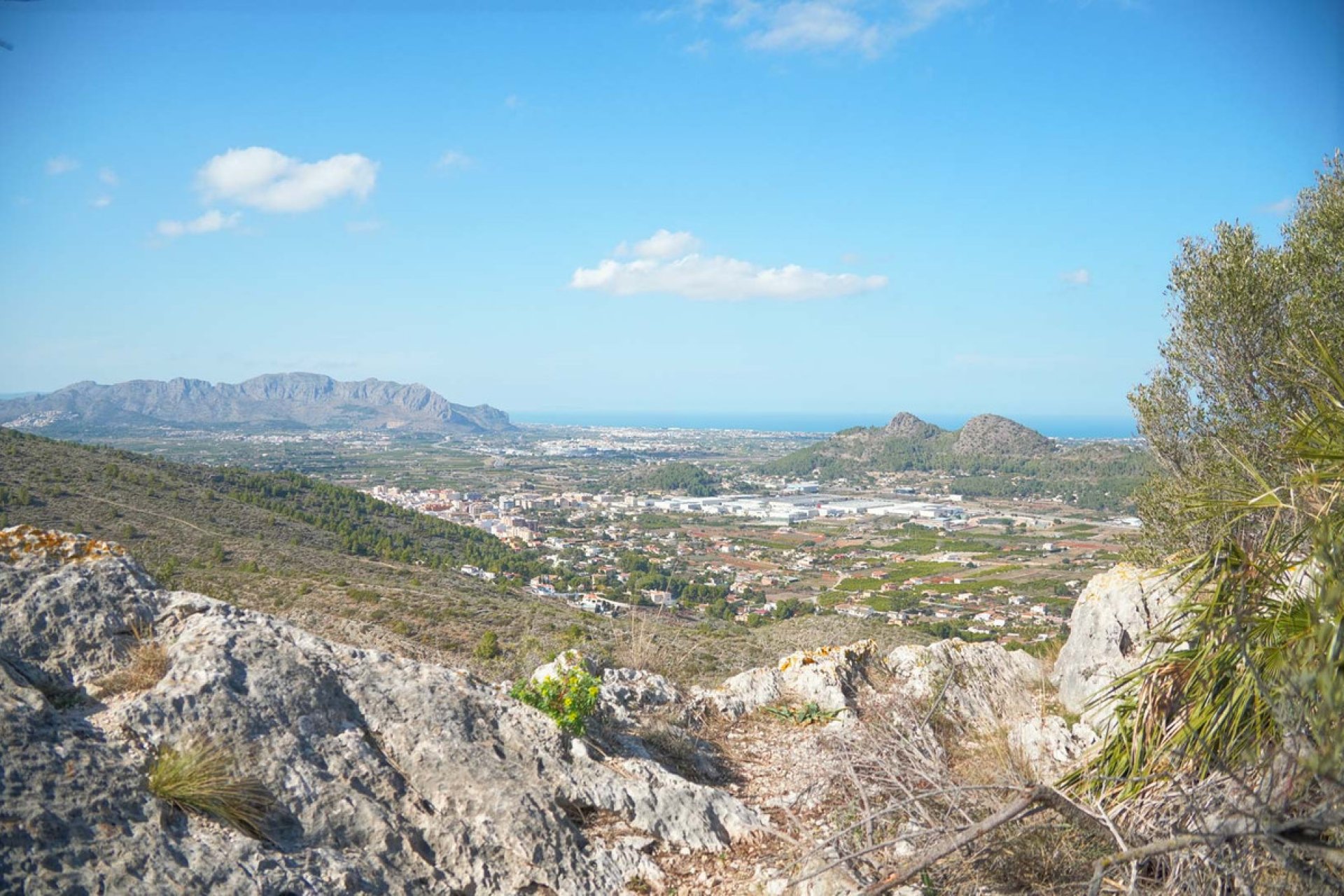 Reventa - Villa -
Pedreguer - Pedreguer Centro