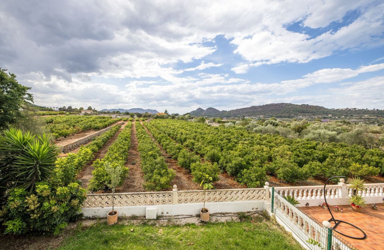 Reventa - Villa -
Pedreguer - Pedreguer Centro