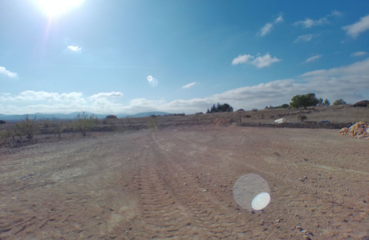 Reventa - Villa -
Pinoso - Pinoso Centro