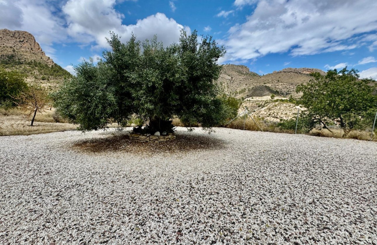 Reventa - Villa -
Relleu - Relleu Centro