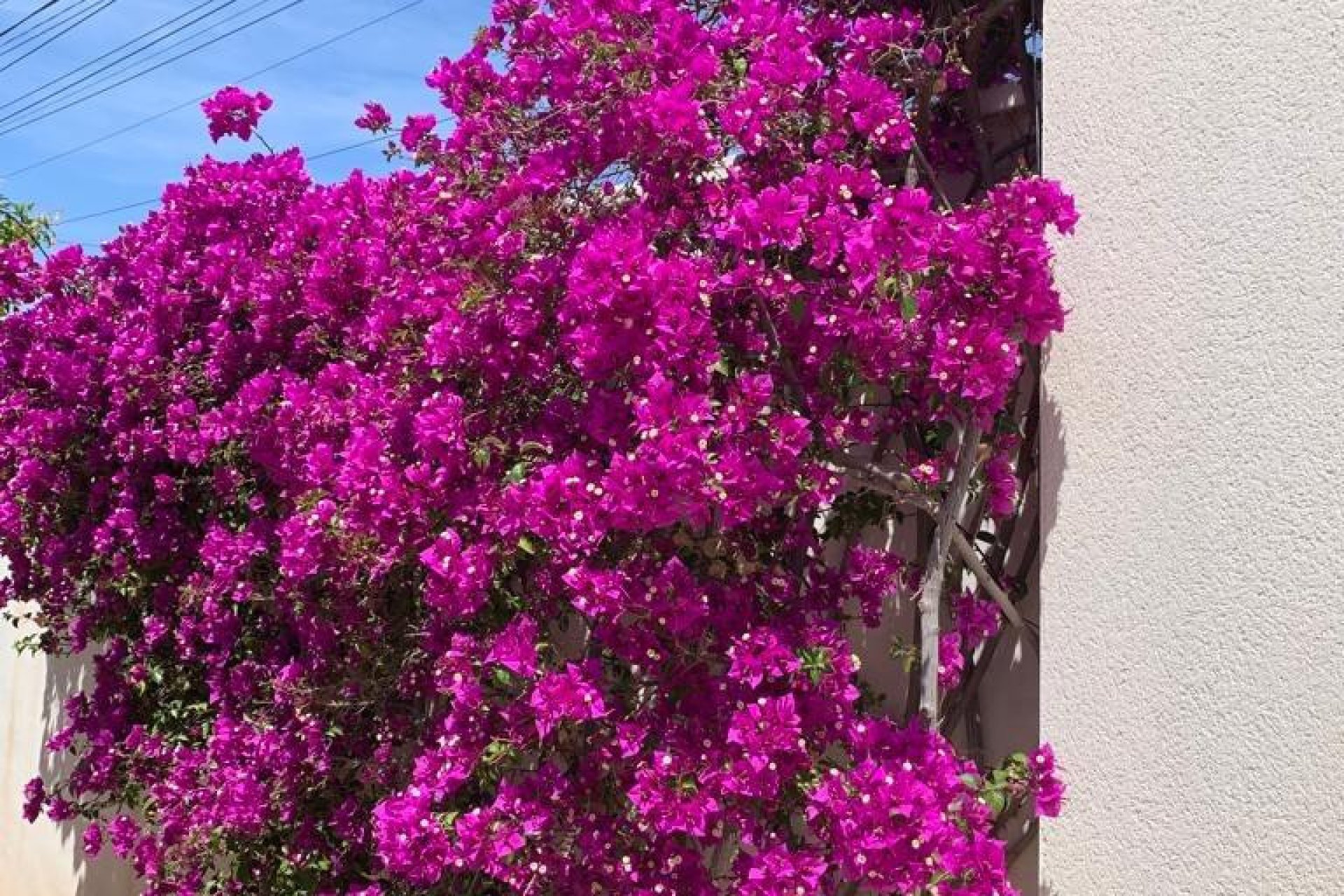 Reventa - Villa -
Rojales - Ciudad Quesada