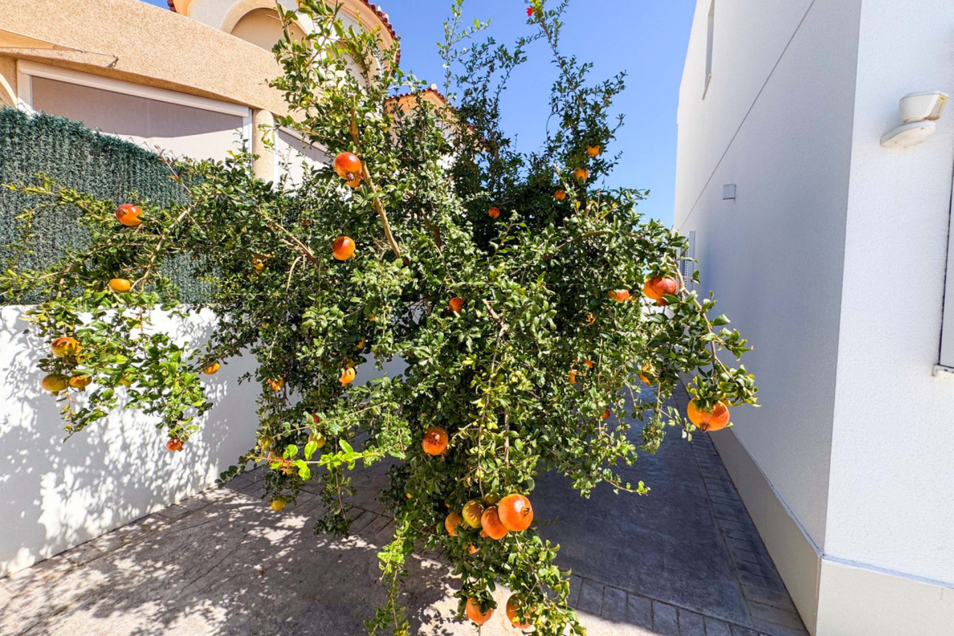 Reventa - Villa -
San Fulgencio - San Fulgencio Centro