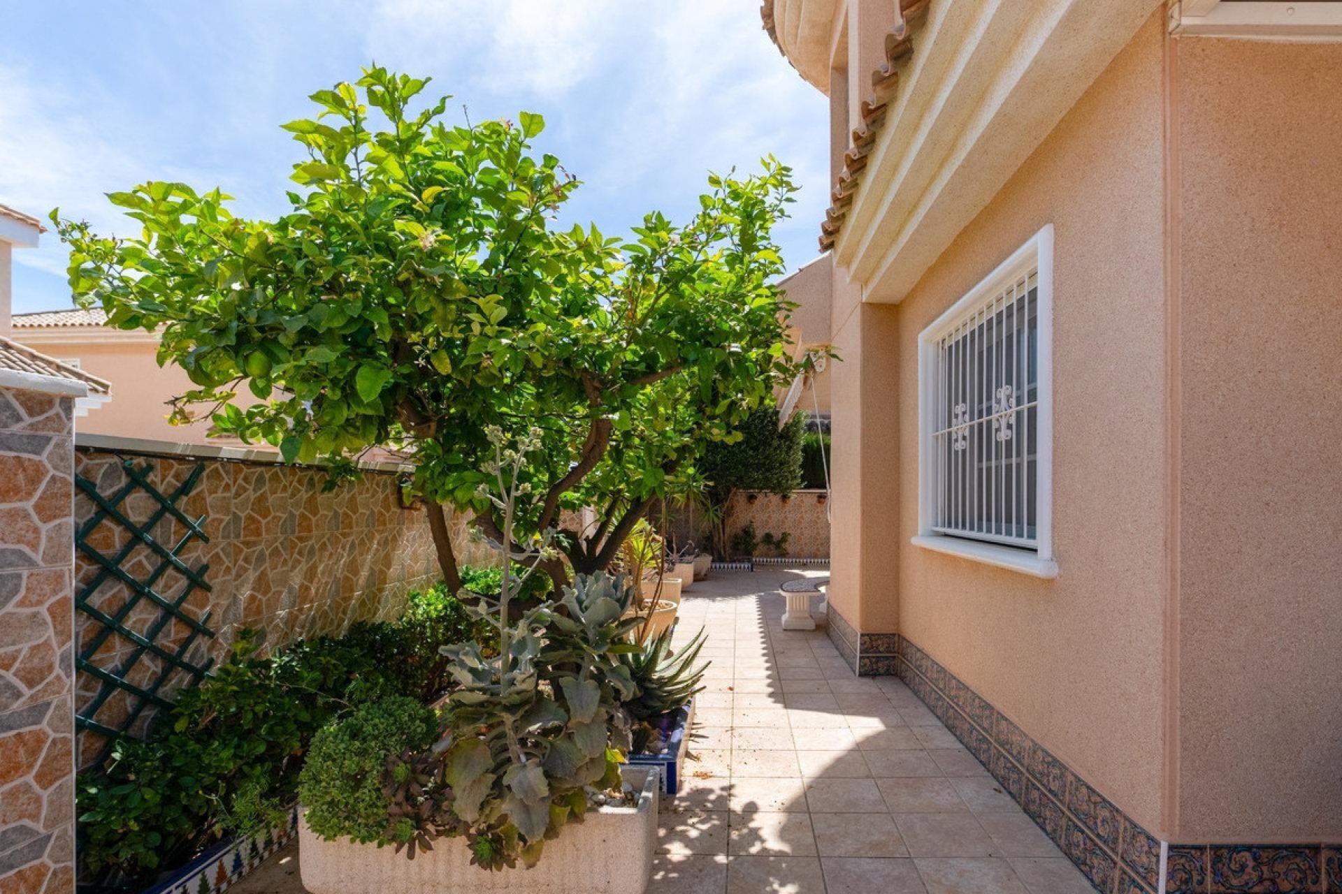 Reventa - Villa -
Torrevieja - Torrevieja Centro