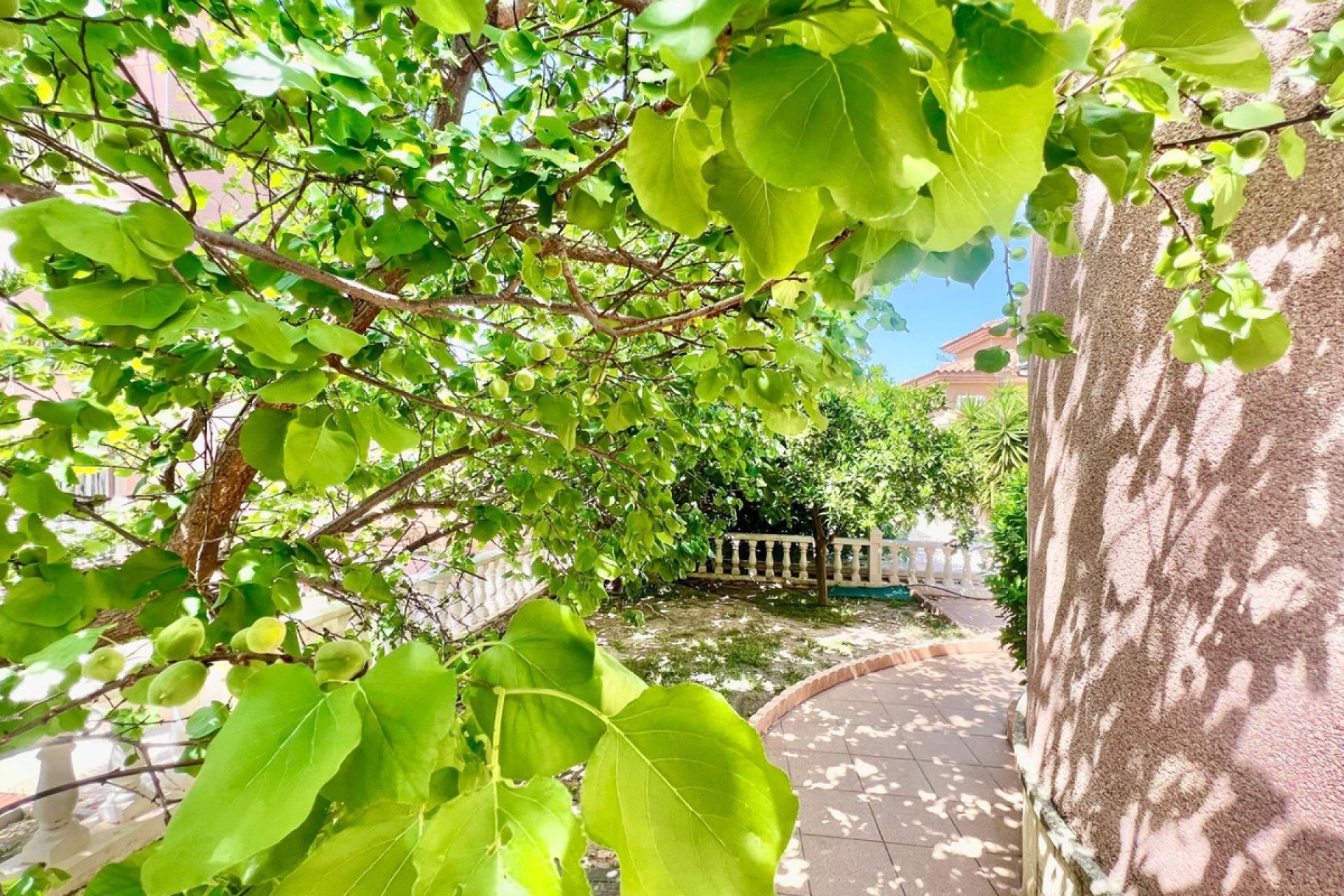 Reventa - Villa -
Torrevieja - Torrevieja Centro