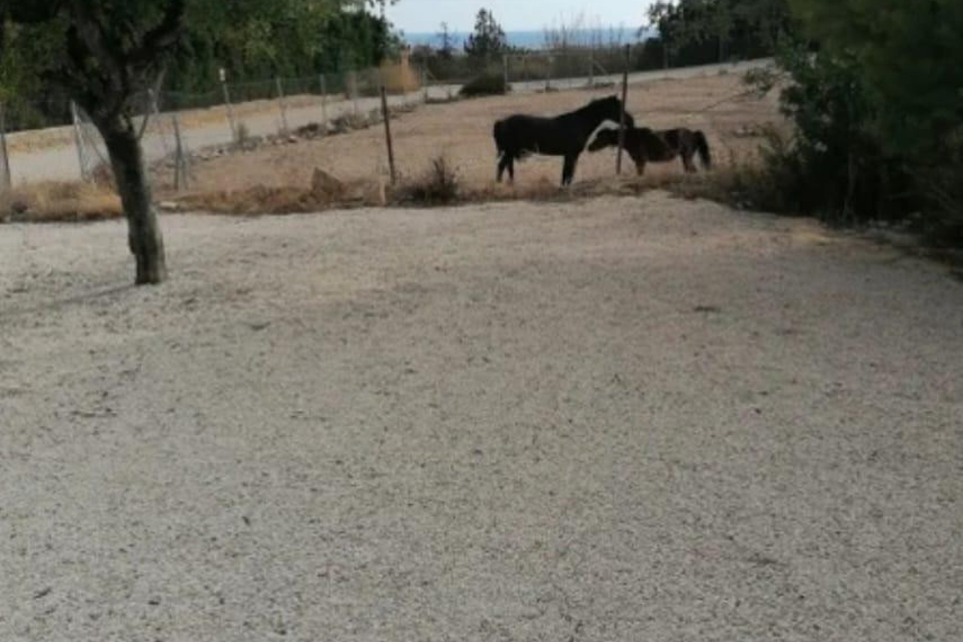 Reventa - Villa -
Villajoyosa - Villajoyosa Centro