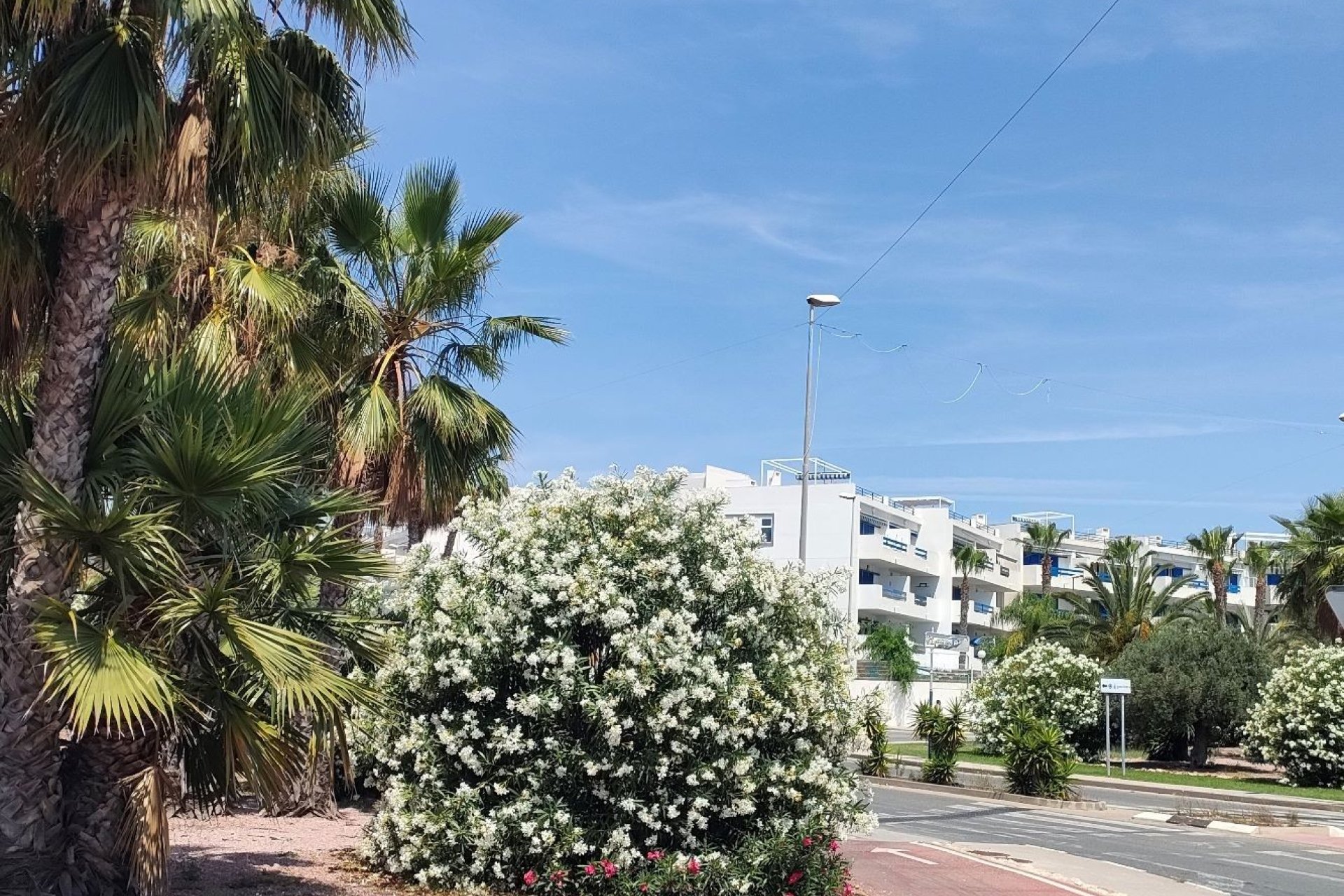 Téli bérlés - Apartman / lakás -
Orihuela Costa - Playa Flamenca