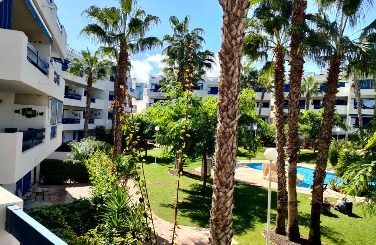 Téli bérlés - Apartman / lakás -
Orihuela Costa - Playa Flamenca
