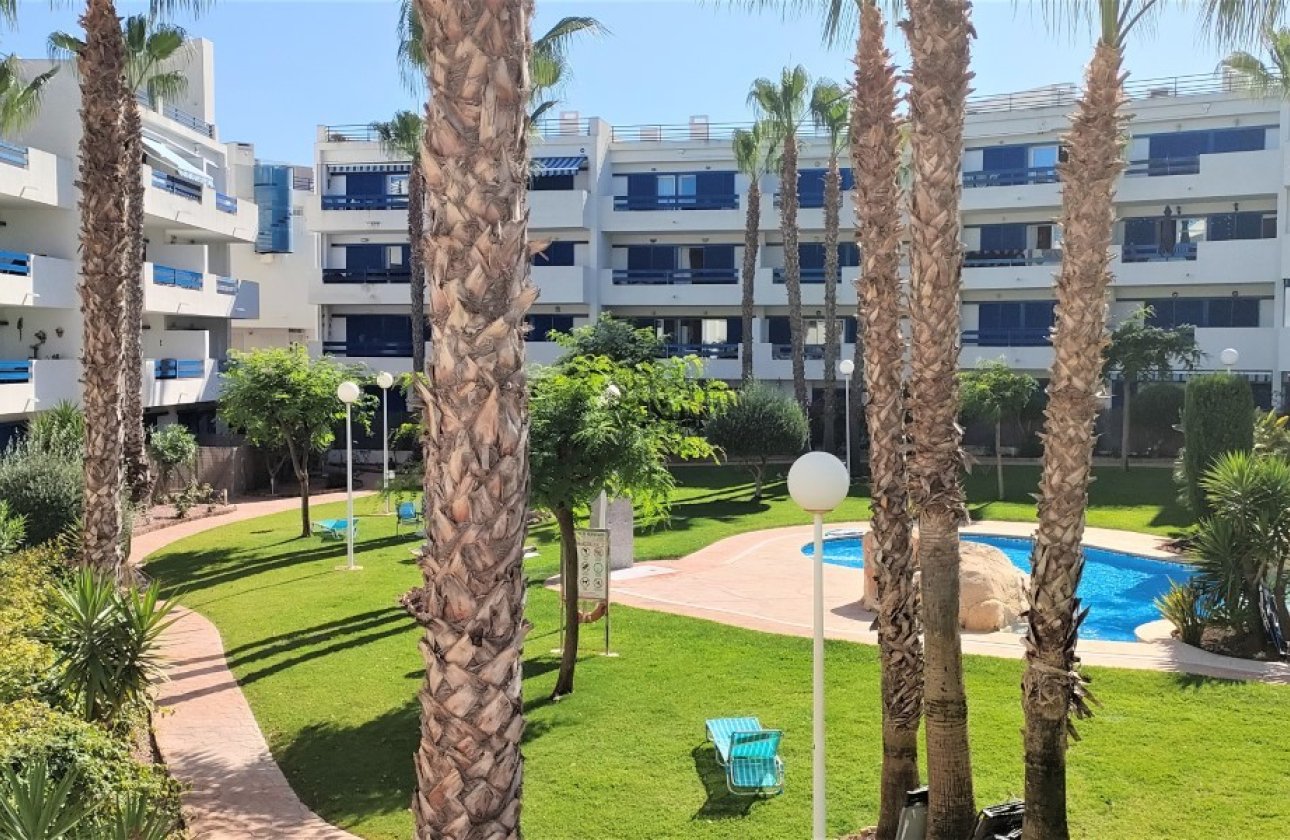 Téli bérlés - Apartman / lakás -
Orihuela Costa - Playa Flamenca