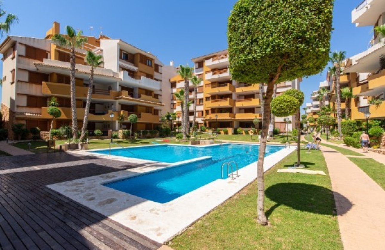 Téli bérlés - Apartman / lakás -
Orihuela Costa - Punta Prima