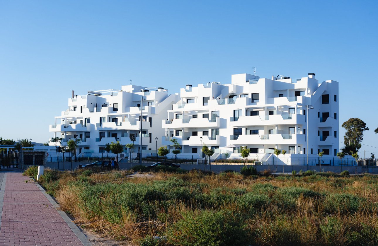 Új építés - ground-floor -
Santa Rosalía