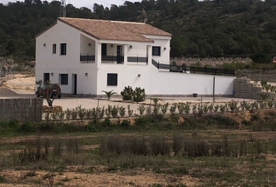 Villa - Használt ingatlanok - Pinoso -
                Pinoso Centro