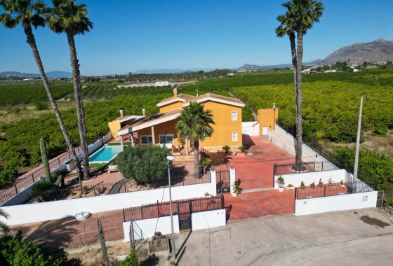 Villa - Reventa - Orihuela - Orihuela Centro
