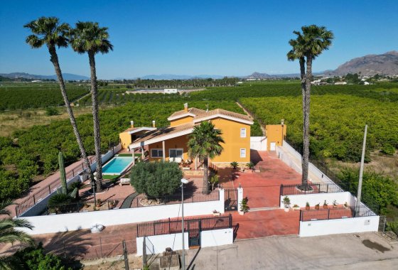 Villa - Reventa - Orihuela - Orihuela Centro
