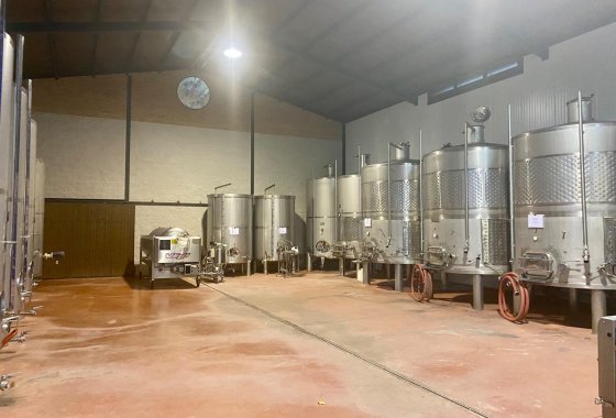 wine cellar - Reventa - Albacete - Albacete