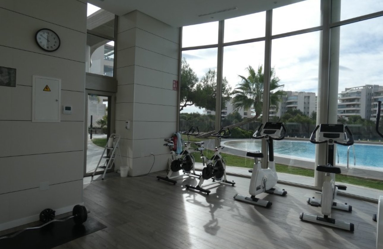 Winter rental - Apartment / flat -
Orihuela Costa - Los Dolses