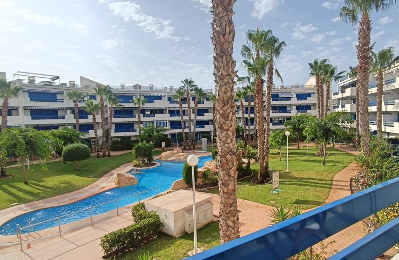 Winter rental - Apartment / flat -
Orihuela Costa - Playa Flamenca